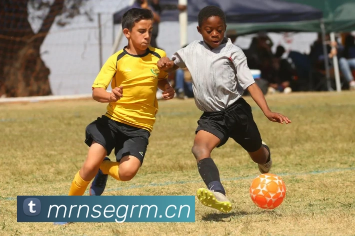 mksports官网平台生态图